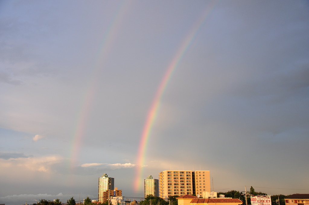 ゲリラ豪雨の産物 by しんちゃんREV ID227464 写真共有サイト PHOTOHITO