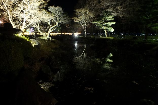 DSCF5354_624