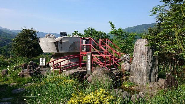 DSC_1898_624