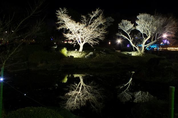 DSCF5350_624