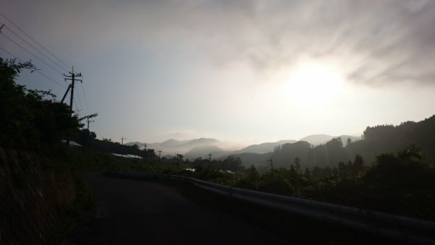 DSC_2350_624