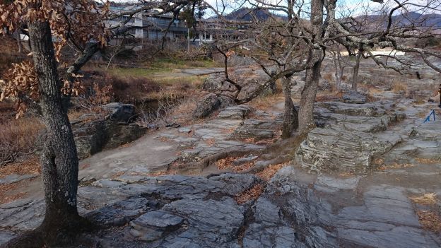 DSC_2890_624