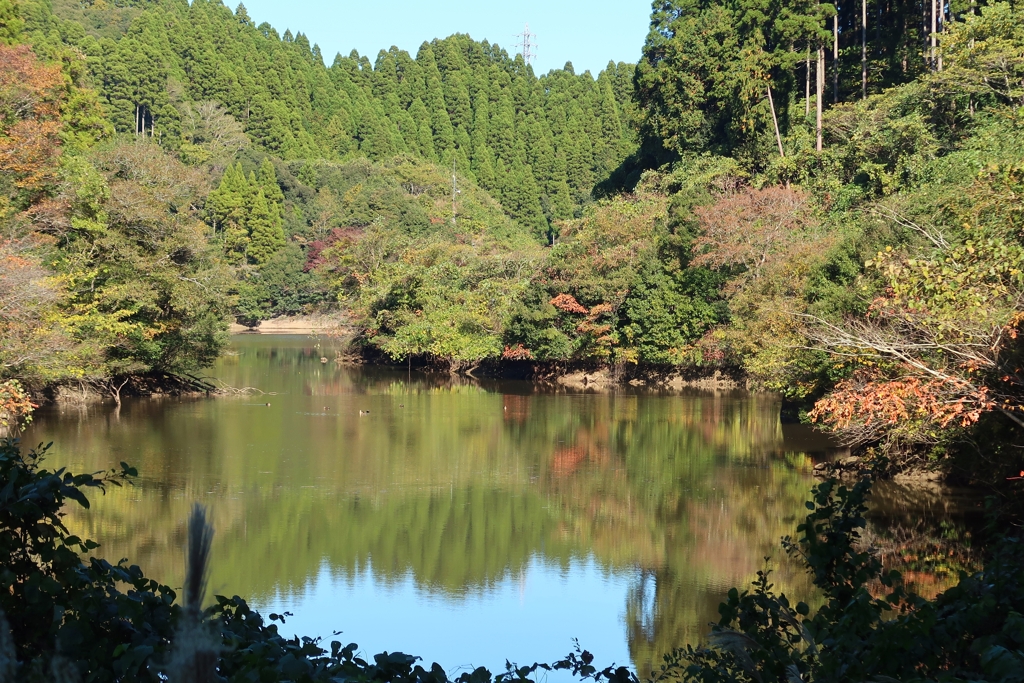 静寂な秋 by popo7557 ID12102436 写真共有サイト PHOTOHITO