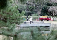 今日は猿江恩賜公園で11時