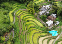 うねうねと畝が続く