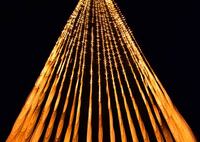 クリスマスイルミ点灯式２