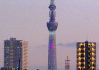 暗くなると楽しい東京スカイツリー