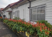 矢板駅の花壇（9月22日）