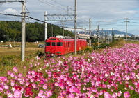 赤い電車と
