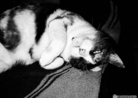 身美たん起きようか？