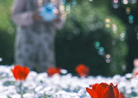 ☆꙳✴︎⧾·⬞  シャボン玉と男の子 ☆