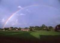 田園の虹