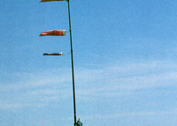 浜に立っていた旗