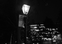 街灯の灯り