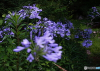 ♫さよならをもう一度(^o^;