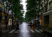 雨の丸の内仲通り