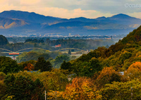 みなさん、北海道に紅葉を観にこうよう！