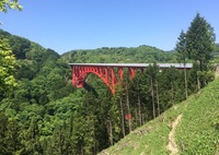 奥出雲おろちループ2015'