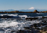 波と富士山（フィルム）