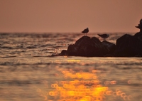 The History of My Life