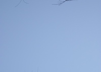 〜branch〜