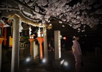 今宵の録画 陰翳礼讃