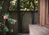 椿と寛ぐ縁側