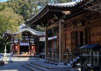 尊鉢厄神