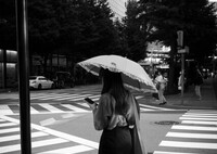 日傘の季節