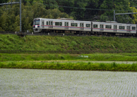 田んぼと電車は雨の中