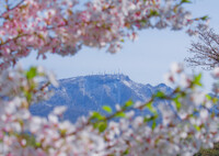 手稲山を望む
