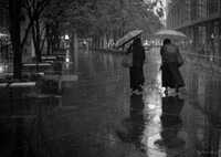 この日一番強い雨