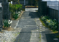 写真句：春を送る