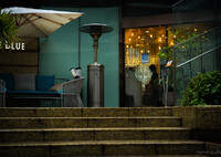 Hibiya Walk 2025