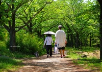 花の季節が過ぎて