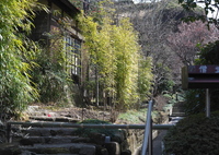 オールドレンズで（２）