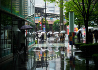 雨の日のお出かけは