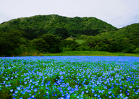 ～新緑の風～