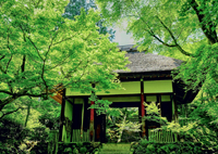 緑の常寂光寺