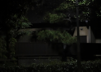 かがやく　その8