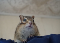 DSC04070