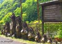 狸が守る駅