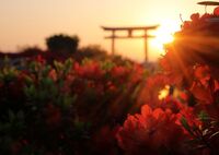 天神さん、朱く染まる
