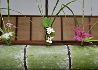 美しく飾られた花々