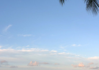 Kuhio Beach Park