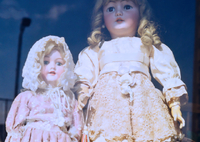 もういない。。。