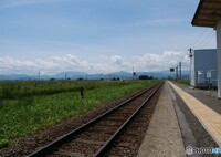 私的に心が和む風景 1/2