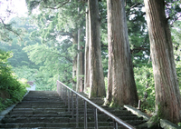 早朝の参拝