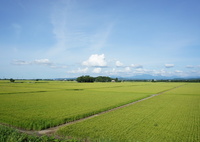 風景写真　DSC00766
