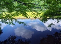 秋刀魚の空